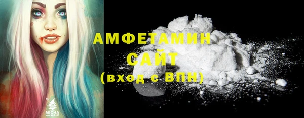 дмт Бородино