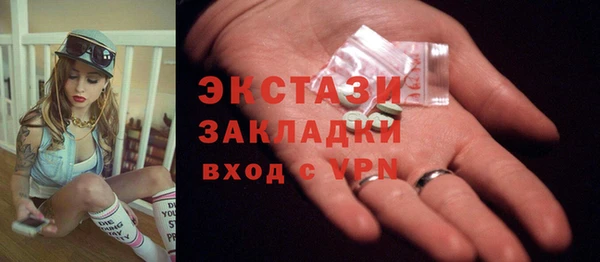дмт Бородино