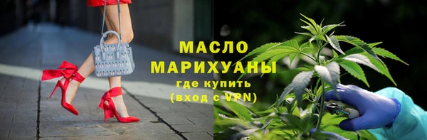 дмт Бородино