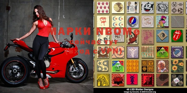 дмт Бородино