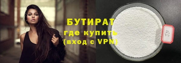 дмт Бородино