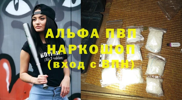 дмт Бородино