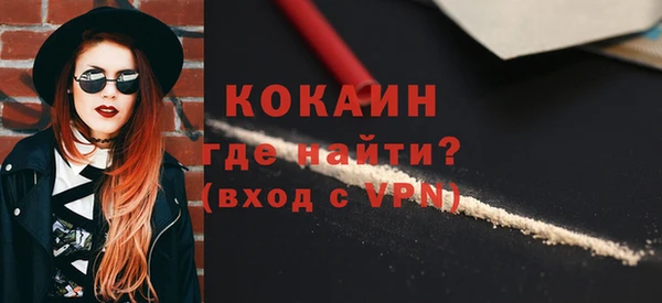 дмт Бородино