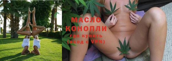 дмт Бородино