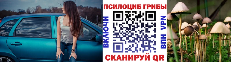Псилоцибиновые грибы Psilocybine cubensis  Советск 